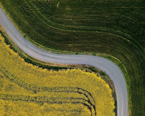 bird-s-eye-view-cropland-crops-curve