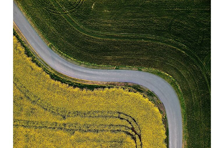 bird-s-eye-view-cropland-crops-curve